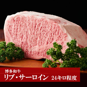 M58 「博多和牛」リブ・サーロイン【24キロ程度】