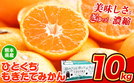 訳あり ひとくちもぎたてみかん 約 10kg (10kg×1箱) S-3Sサイズ 《9月