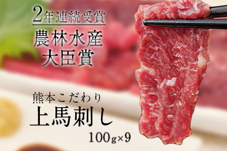 馬刺し 上赤身 ブロック 国産 熊本肥育 冷凍 生食用 たれ付き(10ml×9袋) 100g×9セット 肉 期間限定 絶品  馬肉 平成27年28年 農林水産大臣賞受賞 熊本県荒尾市《7-14日以内に出荷予定(土日祝除く)》 美味しい馬刺し 熊本馬刺し くまもと馬刺し 特産馬刺し