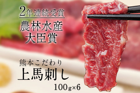 馬刺し 上赤身 ブロック 国産 熊本肥育 冷凍 生食用 たれ付き(10ml×6袋) 100g×6セット 肉 期間限定 絶品  馬肉 平成27年28年 農林水産大臣賞受賞 熊本県荒尾市《7-14日以内に出荷予定(土日祝除く)》 美味しい馬刺し 熊本馬刺し くまもと馬刺し 特産馬刺し