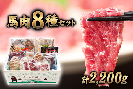 純国産馬肉8種セット 計2200g 熊本肥育 2年連続農林水産大臣賞受賞 送料無料 馬刺し 馬肉 馬スジ ホルモン 燻製 霜降り ハンバーグ 熊本県荒尾市《60日以内に出荷予定(土日祝除く)》 美味しい馬刺し 熊本馬刺し くまもと馬刺し 特産馬刺し