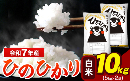 令和7年産 ひのひかり 白米 10kg   5kg×2袋 熊本県産 米 ブランド米 大容量《7-14日以内に出荷予定(土日祝除く)》