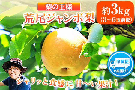  【2026年 先行予約】梨 新高 ジャンボ梨 ( 新高梨 )  約 3kg (3～6玉前後) なし 荒尾梨 にいたか フルーツ 果物 デザート 旬 熊本県荒尾市産 髙口果樹園《2026年10月上旬-11月末頃出荷》  美味しい梨 旬の梨 ジューシー梨 フルーツ梨