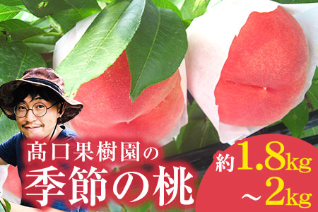 【2026年 先行予約】 桃 季節のおすすめ 約1.8kg～2kg もも フルーツ 果物 白桃 あかつき なつおとめ まどか 瑞鳳 なつっこ 川中島白桃 熊本県荒尾市産 桃 髙口果樹園《2026年7月上旬-8月末頃出荷》