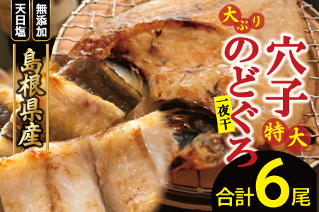 大ぶり「のどぐろ一夜干し」＆特大「穴子一夜干し」【干物セット のどぐろ干物 176～200g×3尾 穴子干物 50cm前後×3尾 のどぐろ ノドグロ 穴子 あなご アナゴ 干物 ひもの 無添加 真空パック 父の日 母の日】