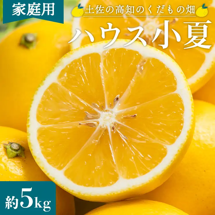【2027年出荷分】 訳あり 小夏 (日向夏) 小夏 5kg 4月中旬発送開始 kd-0030