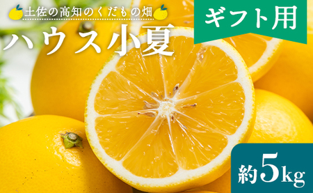 【2026年出荷分】ハウス小夏(日向夏) 5kg(ギフト用) フルーツ kd-0032