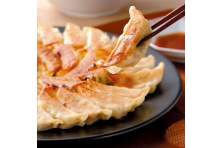 【中華チェーン福しん】おうちで福しん餃子チャレンジセット（餃子４８０個）