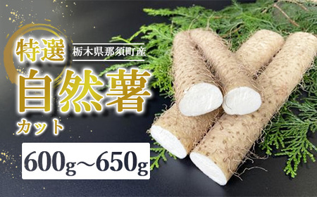 那須町産 自然薯（カット）600g～650g｜カット お土産 贈り物 ご自宅用 とろろ とろろご飯 山芋 健康 国産 産地直送 那須 栃木県 那須町〔P-151〕 ※2025年12月頃より順次発送予定