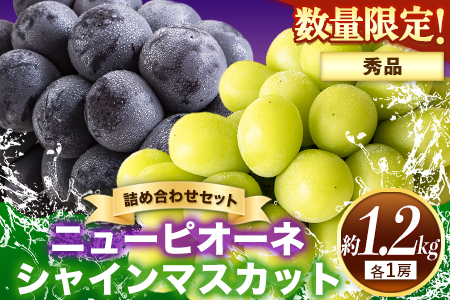 秀品 ピオーネ&シャインマスカット 約1.2kg