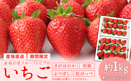 【先行予約】やかげのいちごギフトセット