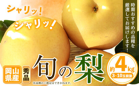 梨 秀品 旬の梨 約4kg