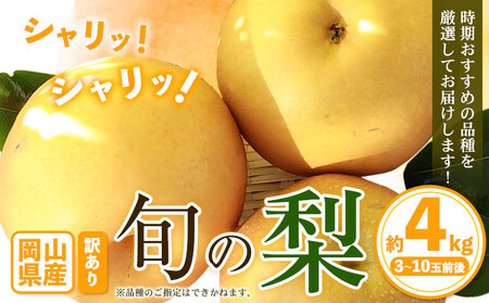 梨 訳あり 旬の梨 約4kg 