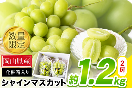 秀品 シャインマスカット約1.2kg 