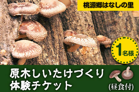 原木しいたけづくり体験チケット(昼食付) 1名様