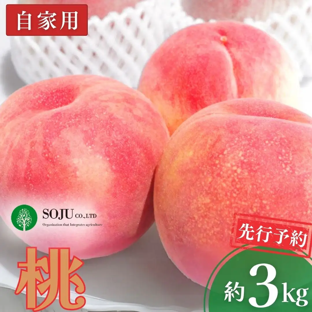 先行予約 桃 自家用 約3kg 令和8年度 新潟県 三条市産 もも