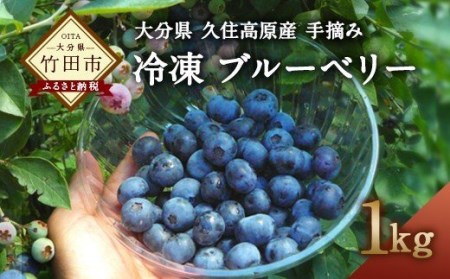 大分県久住高原産 『手摘みブルーベリー』 冷凍ブルーベリー 1kg 【2025年7月下旬より順次発送開始予定】