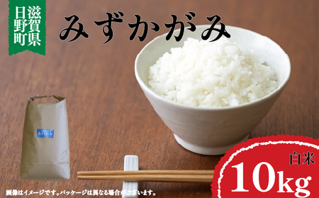 【令和7年産】米 みずかがみ 白米 10㎏