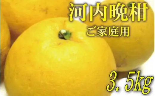 【2026年4月上旬～6月下旬発送】【和製グレープフルーツ】有田育ちの河内晩柑(ご家庭用)　3.5kg【ard028B】