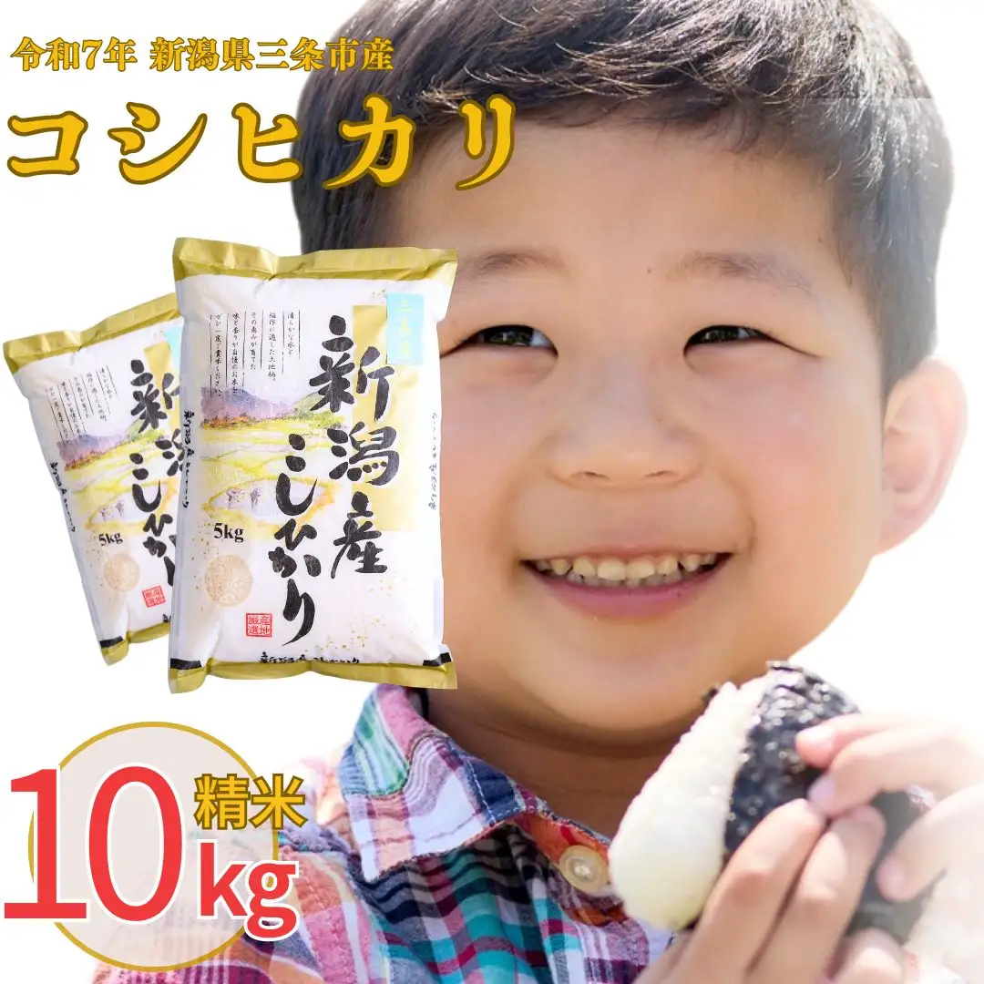 新潟県産 コシヒカリ 10kg 精米 令和7年 三条市 コシヒカリ 白熊