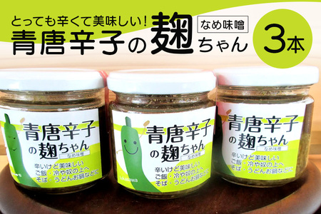 とっても辛くて美味しい！青唐辛子の麹ちゃん ふかさわ農園 青唐辛子 調味料 発酵食品 麹 笠間市 茨城県 EL-003