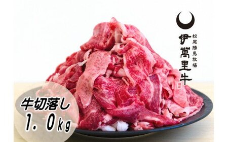 伊万里牛切り落とし  1kg （500g×2） 小分け 007-J1764