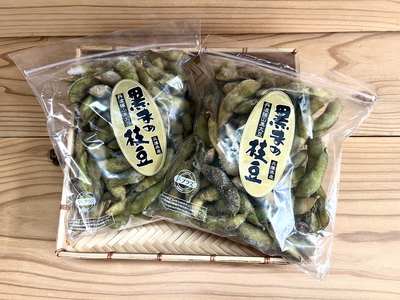 【冷凍なのでいつでも！】丹波篠山市産「丹波黒」枝豆 1ｋｇ（500g2袋） BA54 プレミアム枝豆 日本三大枝豆 丹波篠山黒枝豆 大粒 丹波 黒豆 丹波黒 黒大豆 濃厚 美味しい 旬 ご当地 お取り寄せ グルメ 冷凍配送 冷凍食品