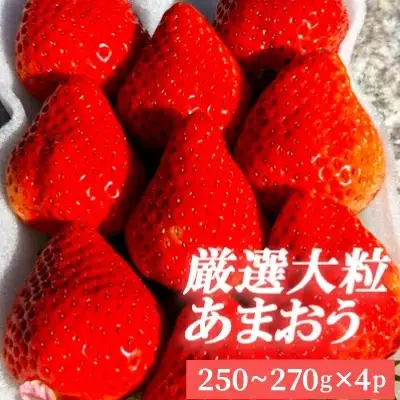 【先行予約／2027年出荷】厳選大粒あまおう（4パック） 3SA2