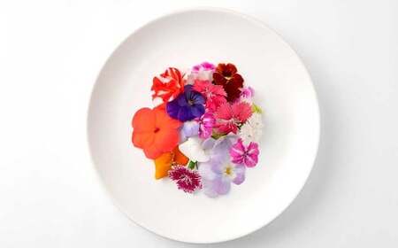 エディブルフラワー 生花MIX（20輪入り）5パックセット【食べられるお花 栽培期間中 農薬不使用】
