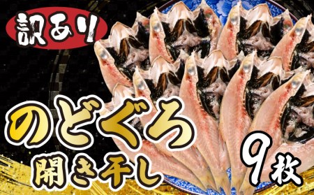 のどぐろ 干物 9尾 小サイズ訳あり のどぐろ AU