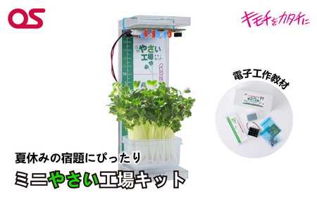AG21　ミニやさい工場キット　DR-1V1　Web学習教材　【 野菜 栽培 学習 教材 夏休み 宿題 課題 実験 研究 自由研究 子ども 家庭菜園 電子 工作 】