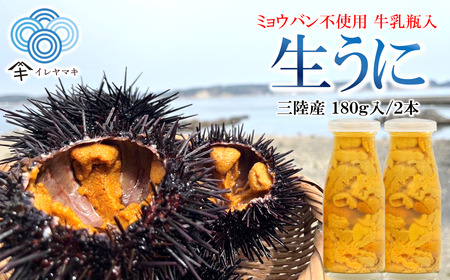 生うに 牛乳瓶入 生うに 180g×2本