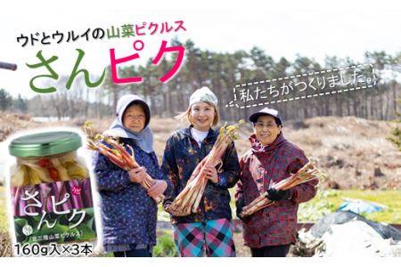 さんピクー北三陸山菜ピクルスー３本セット