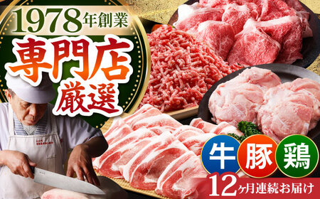 【全12回定期便】ミンチ付き！三栄のデイリーセット HAA094 ミンチ 国産 和牛 佐賀牛