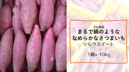 【2025年11月より順次発送】2025年度産 まるで絹のようななめらかなさつまいも シルクスイート 約10kg｜さつまいも 芋 お芋 シルクスイート 渋谷農園 先行予約 茨城県 行方市(BZ-20)