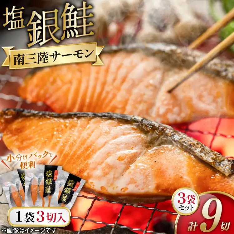 鮭 切り身 塩銀鮭パック 3切 ×3袋 計9切 [たみこの海パック 宮城県 南三陸町 m304amh560065]