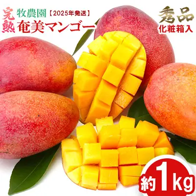 【2026年発送】牧農園の完熟奄美マンゴー 秀品 約1kg（化粧箱入） 鹿児島県 奄美群島 奄美大島 龍郷町 国産 奄美産 青果 果物 くだもの フルーツ 南国 トロピカル デザート スイーツ 濃厚 とろける 甘い 農家直送 秀品 1kg