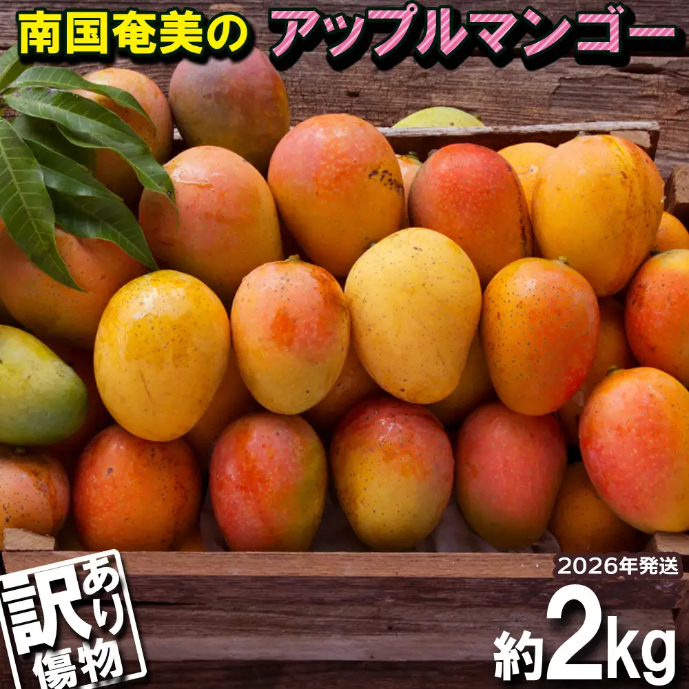 南国奄美のアップルマンゴー 傷物・訳あり 約2kg【2026年発送】 鹿児島県 奄美群島 奄美大島 龍郷町 国産 奄美産 青果 果物 くだもの フルーツ 南国 トロピカル デザート スイーツ 濃厚 とろける 甘い アップルマンゴー 訳あり 2kg