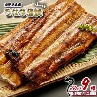 うなぎ 鹿児島県産　うなぎ蒲焼　約70g×9枚【タレ・山椒付】 