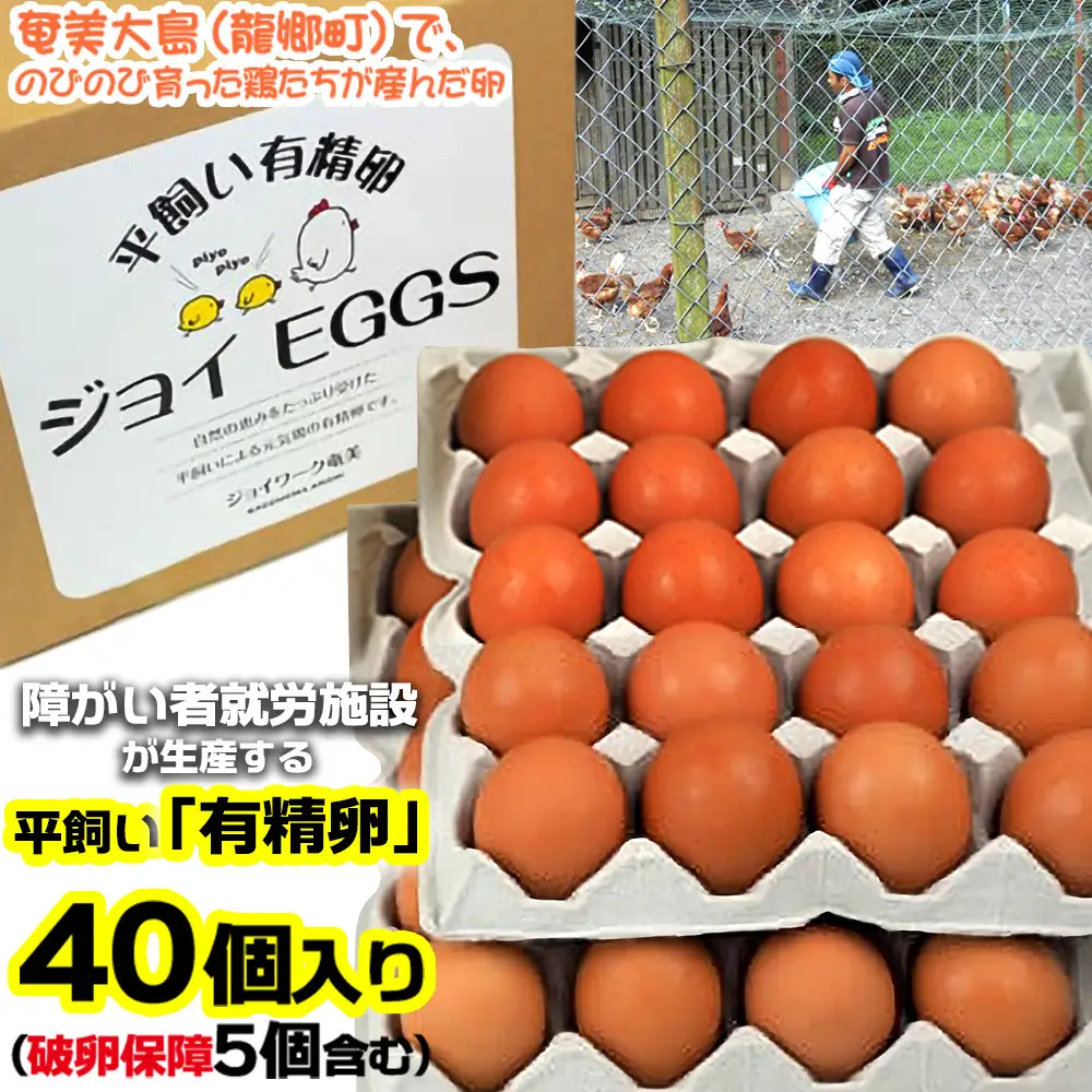 奄美大島の平飼い有精卵　40個入り 鹿児島県 奄美群島 奄美大島 龍郷町 国産 奄美産 たまご 卵 エッグ 有精卵 平飼い お取り寄せ
