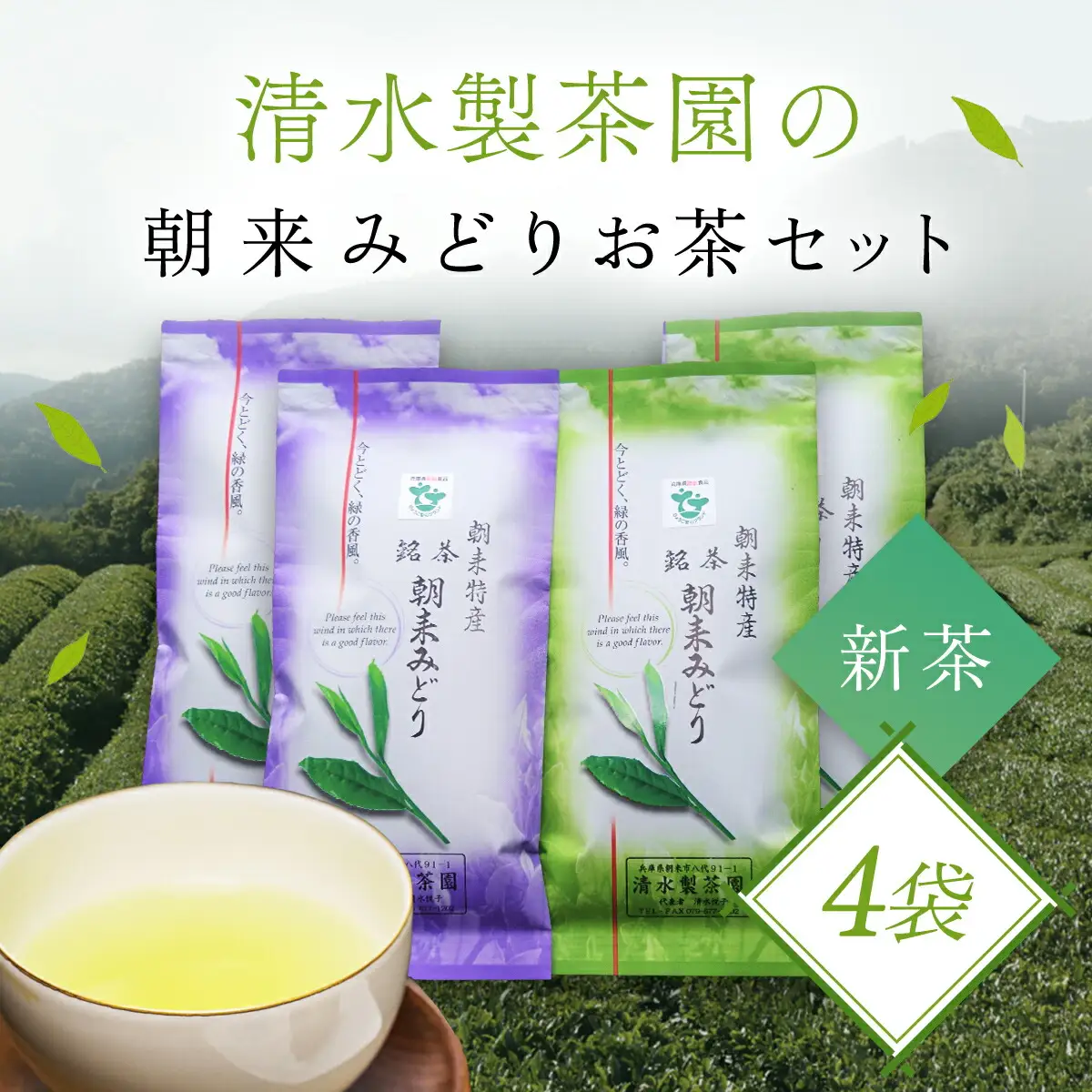 お茶 清水製茶園の朝来みどりお茶セットB