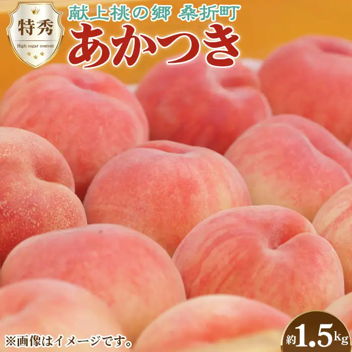もも【あかつき・2026年産】特秀1.5kg「献上桃の郷ブランド品」桑折町産　JAふくしま未来　桃 ／ もも モモ 果物 フルーツ 旬 甘い 甘み ジューシー 果肉 果汁 新鮮 フレッシュ デザート おいしい 産地直送 桑折 こおり こおりまち 福島県 特産品 No.136