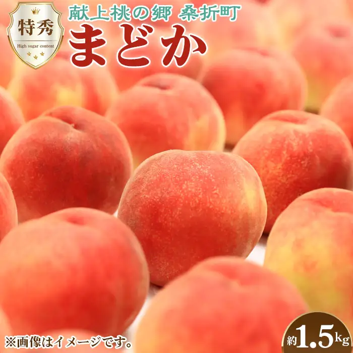 もも【まどか・2026年産】特秀1.5kg　桑折町産　JAふくしま未来　桃 ／ もも モモ 果物 フルーツ 旬 甘い 甘み ジューシー 果肉 果汁 新鮮 フレッシュ デザート おいしい 産地直送 桑折 こおり こおりまち 福島県 特産品 No.137
