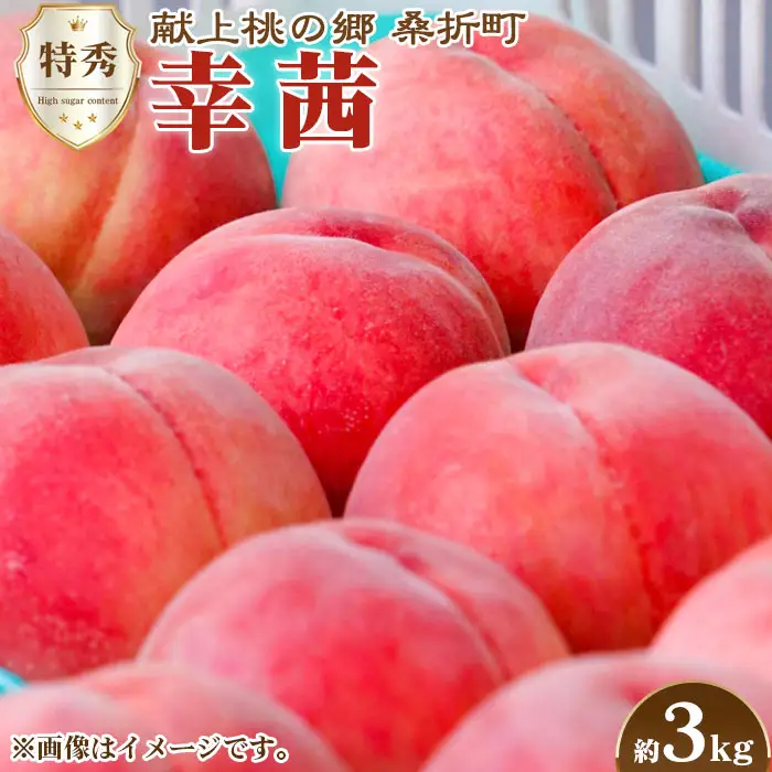 もも【幸茜・2026年産】特秀　3kg　桑折町産　JAふくしま未来　桃 ／ モモ 果物 くだもの フルーツ 甘味 果汁 ジューシー 桑折 こおり こおりまち 福島県 特産品 ／ もも モモ 果物 フルーツ 旬 甘い 甘み ジューシー 果肉 果汁 新鮮 フレッシュ デザート おいしい 産地直送 桑折 こおり こおりまち 福島県 特産品 No.140