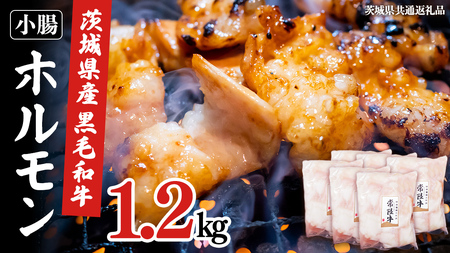 【茨城県産】 黒毛和牛 もつ鍋 焼肉用 小腸 1.2kg（200g×6パック） (茨城県共通返礼品)