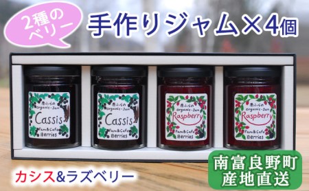 2種のベリー【カシス＆ラズベリー】手作りジャムセット 各2個 北海道 南富良野町 ジャム ベリー カシス ラズベリー ソース 果実 てんさい糖 無農薬 