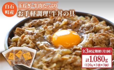 【3回定期便】牛丼の具（120g×3袋入り） / 牛丼 [IAZ006]