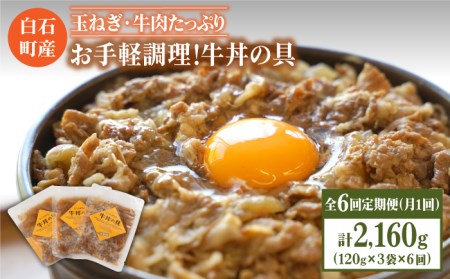 【6回定期便】牛丼の具（120g×3袋入り） / 牛丼 [IAZ007]