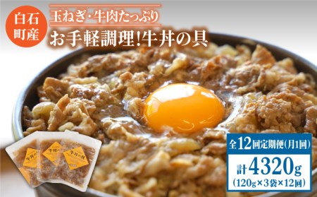 【12回定期便】牛丼の具（120g×3袋入り） / 牛丼 [IAZ008]