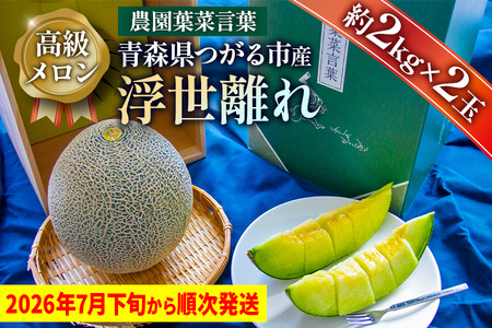【先行予約】高級 メロン『浮世離れ』2玉【2026年7月下旬から8月上旬まで順次発送】一度は食べてみたい！市場に出回らない｜舐瓜 [0892]